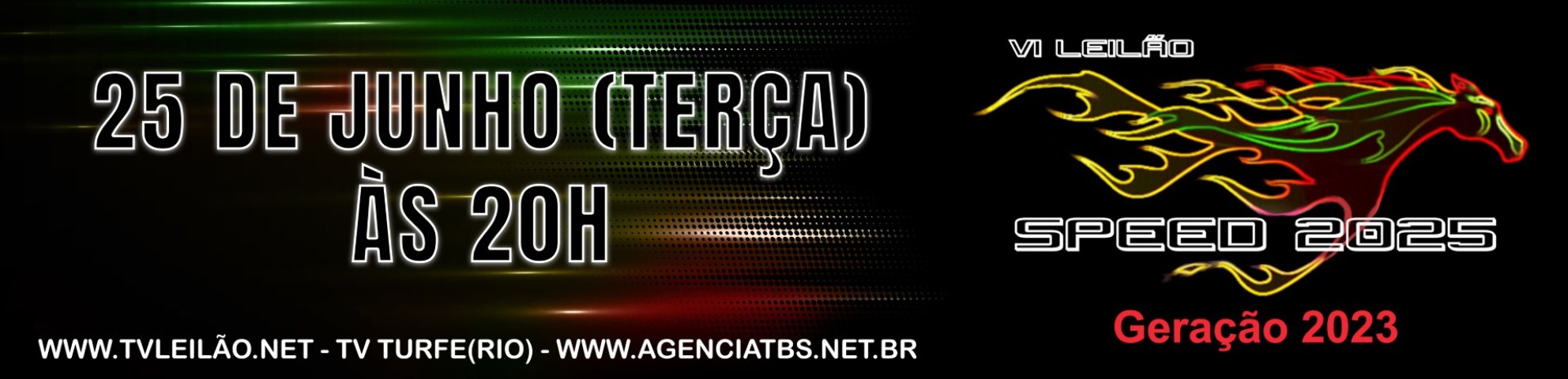 Slide LEILÃO SPEED 2025