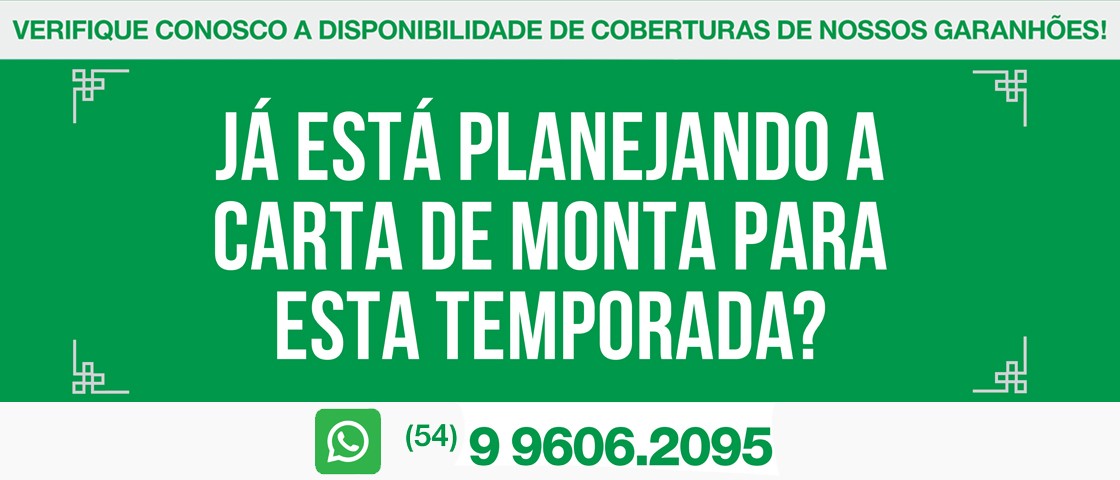 Slide CARTA DE MONTA