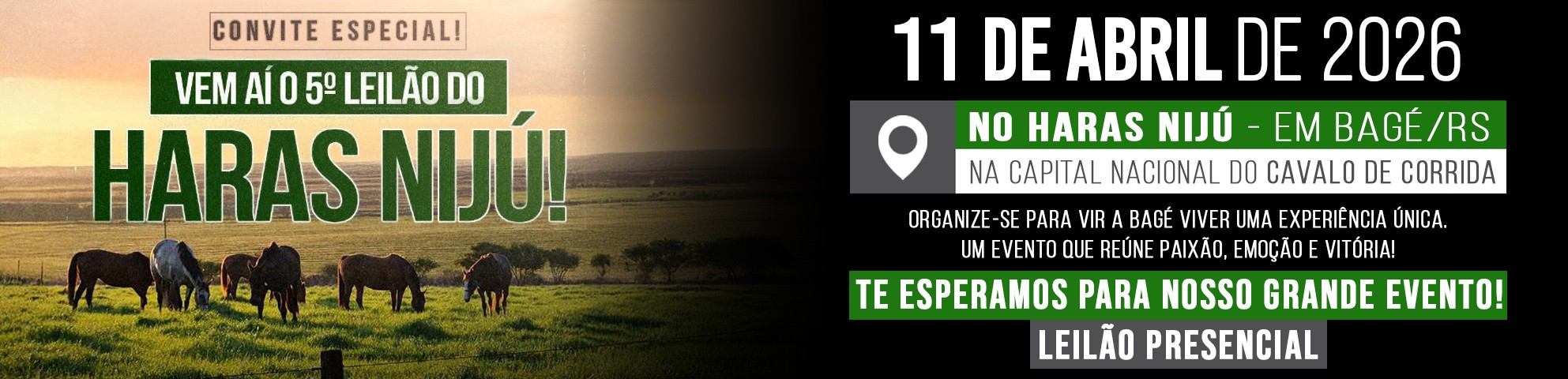 Slide 5 LEILÃO HARAS NIJÚ