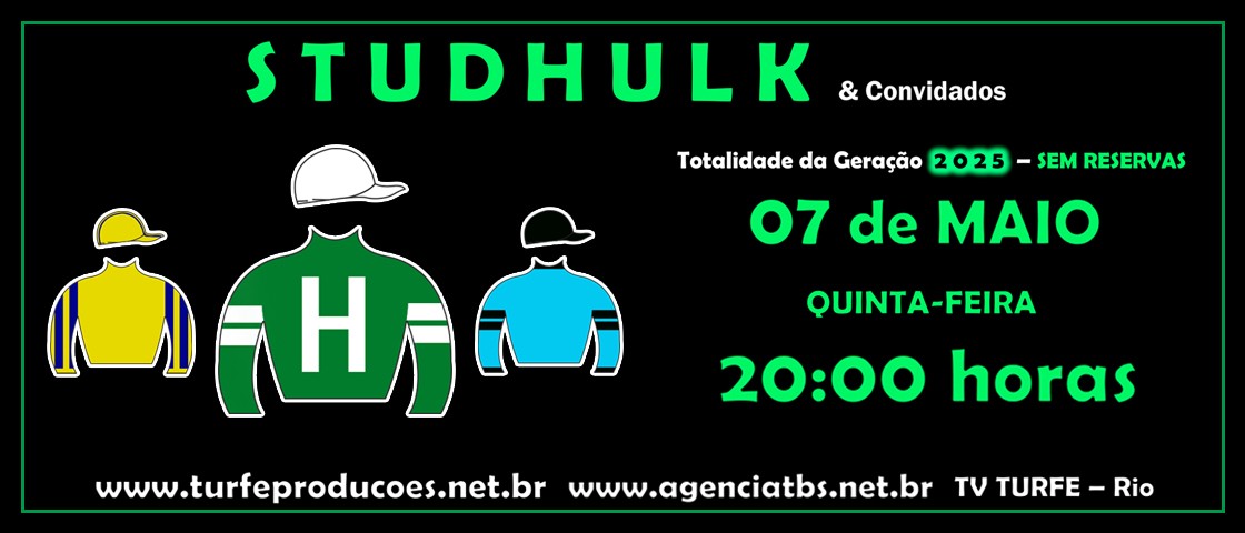Slide LEILÃO STUD HULK 2026