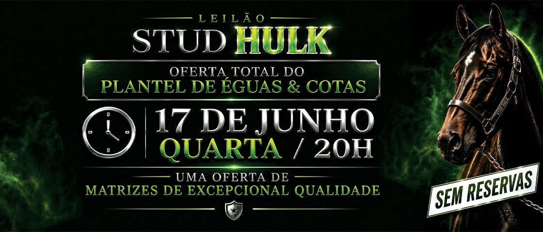 Slide LEILÃO STUDO HULK